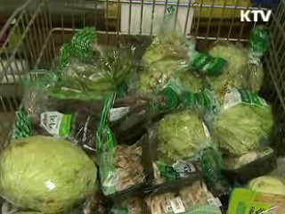 채소 썩음병 예방기술 국내서 개발