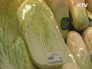 "내년 5% 내외 성장, 일자리 창출 주력"