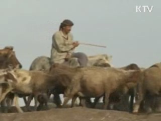 "아프리카를 잡아라"···경협 사절단 파견