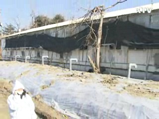 구제역 가축 비매몰 방식 처리 시범 도입