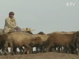 "불안심리 조기 차단, 국제공조 강화"