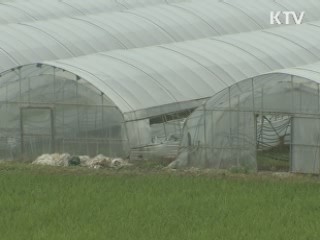 불량종자 공급 수십억 챙긴 업자 검거