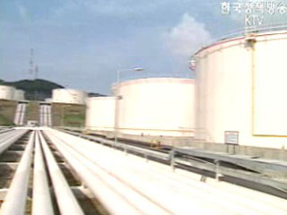 유통구조`개선 시급`