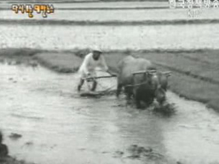 이화여자중고등학교 창립 70주년 기념식(`56)