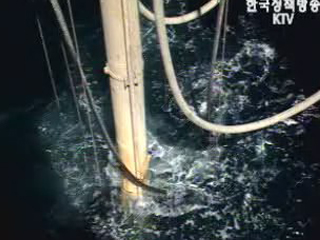 올해 해외자원개발 `사상 최대`