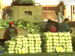 고품질 농산물 공급