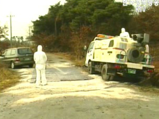 AI 추가발생지역 방역작업 본격화