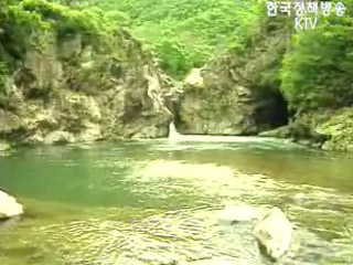 50년을 기다린 여름