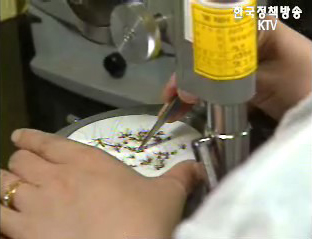 일본 뇌염 주의보 발령