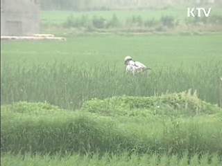 '농지연금' 2011년부터 도입