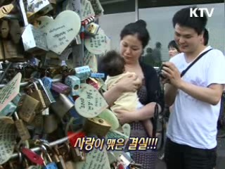 남산 케이블카 [지금 대한민국]