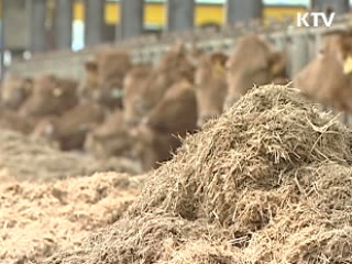 안동 한우농가 2곳 구제역 의심신고