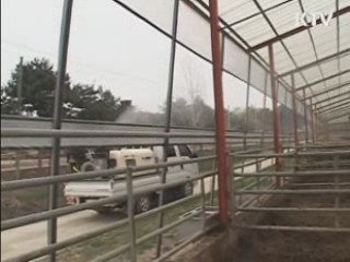 안동 등 5개 지역 백신 접종 실시