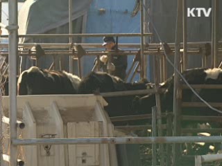 이 대통령 "구제역 백신 자체생산 검토"