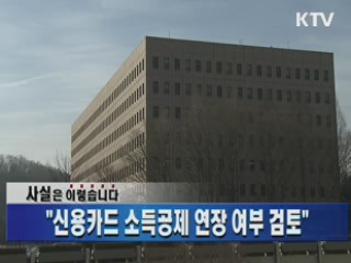 "신용카드 소득공제 연장 여부 검토"