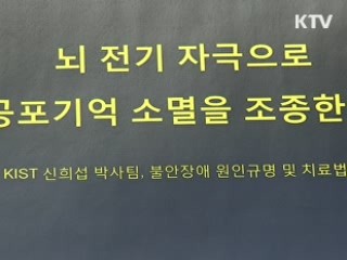 뇌 전기자극으로 공포기억 제거