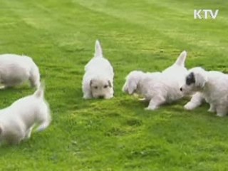 노숙자들을 위한 따뜻한 성탄절