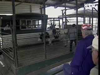 조사단 이틀째 활동···美 검역소 방문