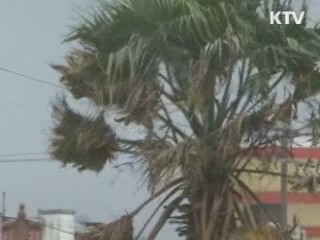 연일 기록적 폭염···이번 주가 분수령