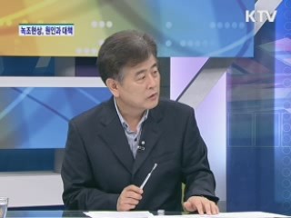 폭염 속 녹조 확산, 원인과 대책은? [와이드 인터뷰]