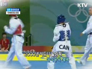 경주 코리아오픈 국제태권도대회 [정책, 현장을 가다]