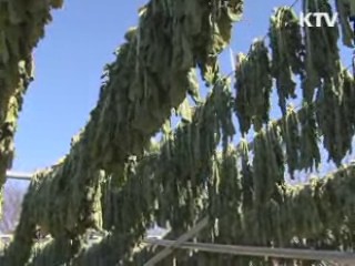 무청시래기, 세계인의 입맛 유혹한다 [시니어 리포트]