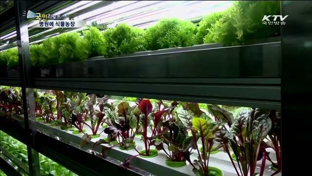 병원에 식물농장…치유의 녹색환경 조성