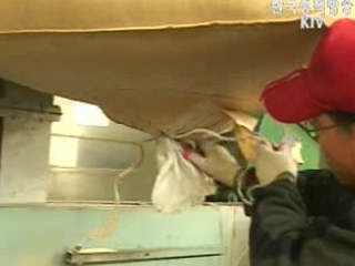 후속대책 잰걸음