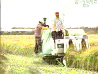 시장개방 대응 고품질 쌀 브랜드 지원
