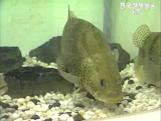 테마기획 ‘바다로 세계로’