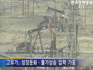 고유가 지속, 자원외교로 극복