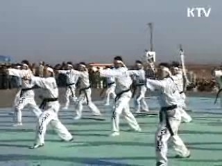 태권도, 국가브랜드 제고 '첨병'으로