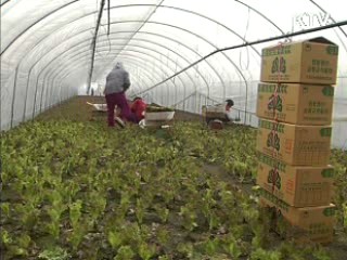 7월 농업용 면세유 공급대상 확대