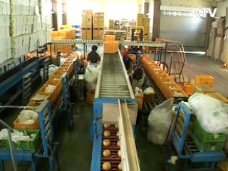 농식품부 사업, 절반으로 통폐합