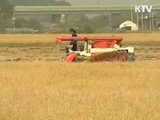 벼 재배면적 1967년 이래 최소