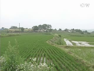 군단위 학교 통폐합·재배치 추진