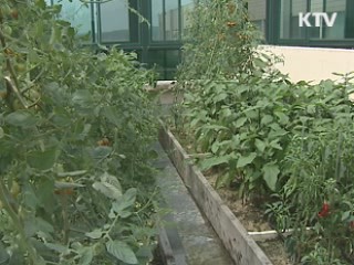 도시농업 활성화로 열섬 줄인다