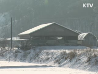 "살처분지 침출수, 지하수 오염 아냐"