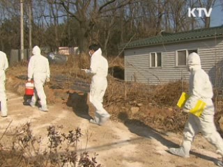 이 대통령 "구제역 백신 자체생산 검토" 