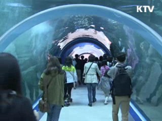 흰돌고래부터 미래해양까지 '한눈에'