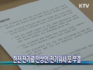한전 전기료 인상안, 전기위서 또 부결