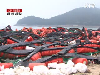 '재해보험' 농작물 피해 보상 어디까지?