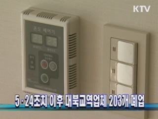 5·24조치 이후 대북교역업체 203개 폐업