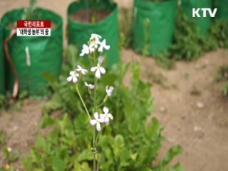 꿈을 향해 달리는 대학생 농부 [국민리포트]