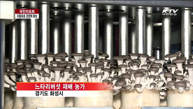 농산물수입시대…자동화로 경쟁력 확보 [국민리포트]