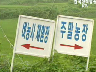 65개 농.산.어촌 체험마을 보험료 지원