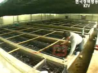 강진 진도 수출용 전복 물류센터 건립