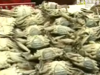 `올 추석 제수용품은 우리 수산물로`