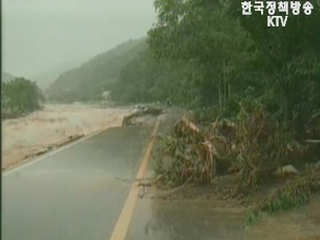 강원도 복구 재개