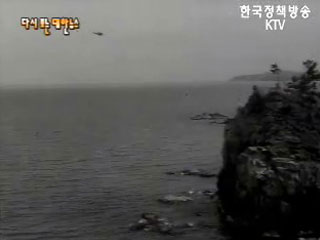 내 고장 내가 지킨다(`69)